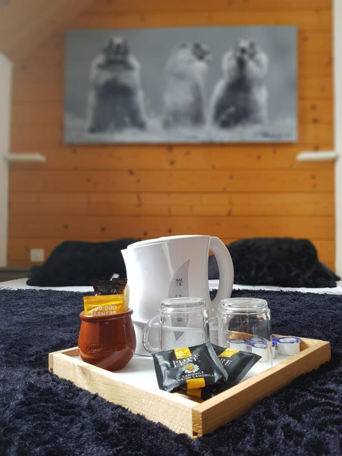 Gite Chalet Du Soulor 아렌 마르수스 외부 사진